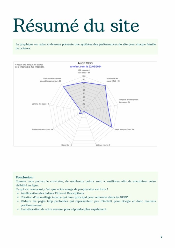 SEO Rapport exemple