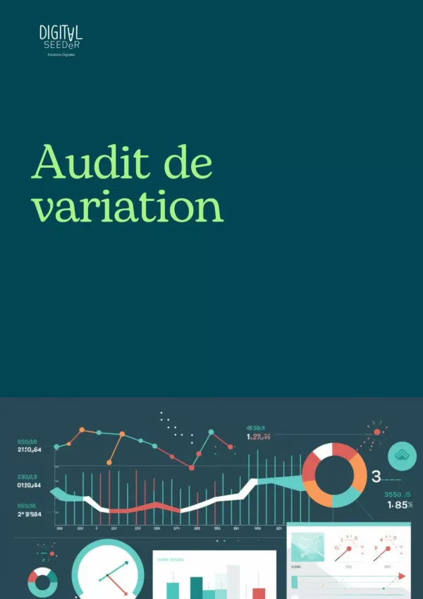 Audit de variation