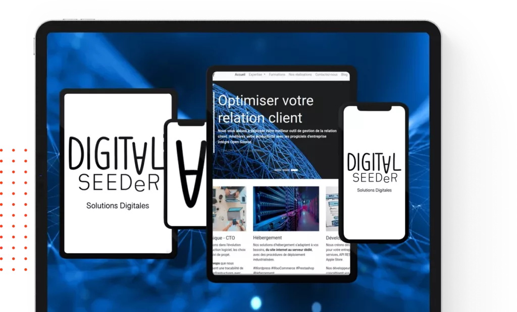 digitalseeder-entreprise-numerique